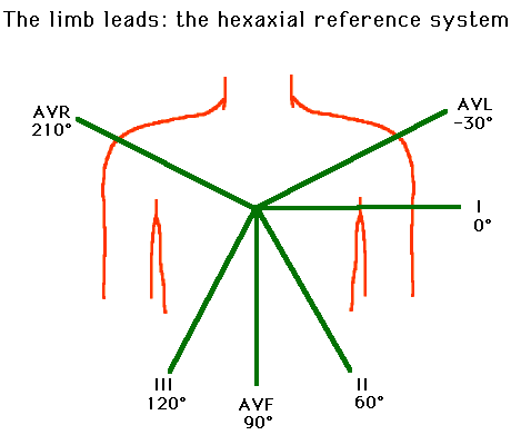 limb leads EKG