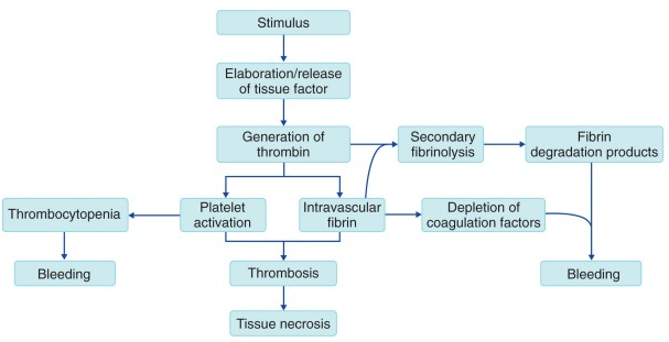 General pathophysiological outline of DIC (source)