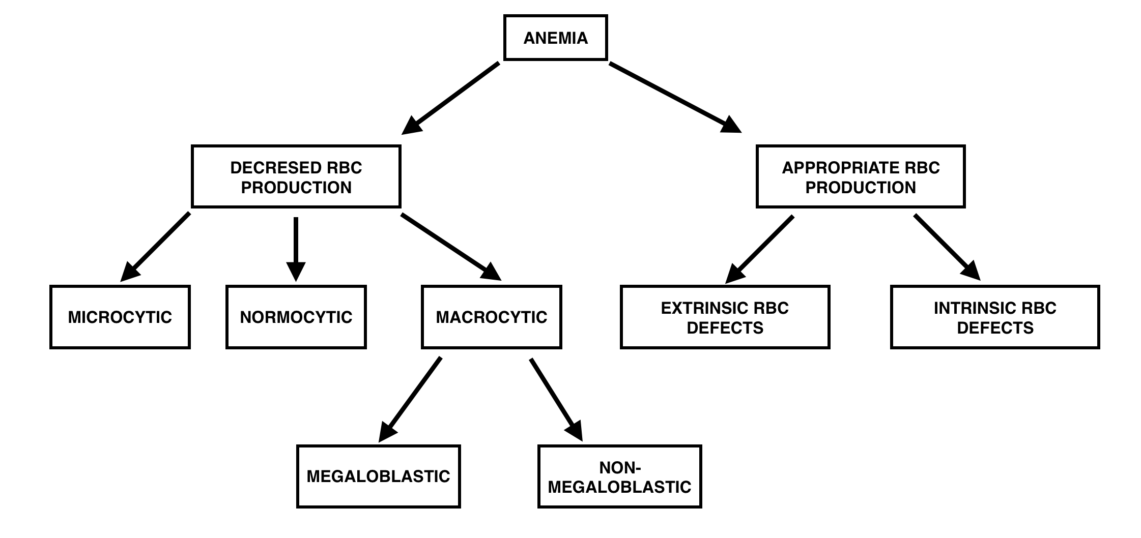 General overview of classification of anemia 