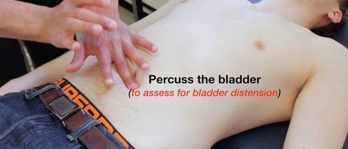 Location for bladder percussion (source)