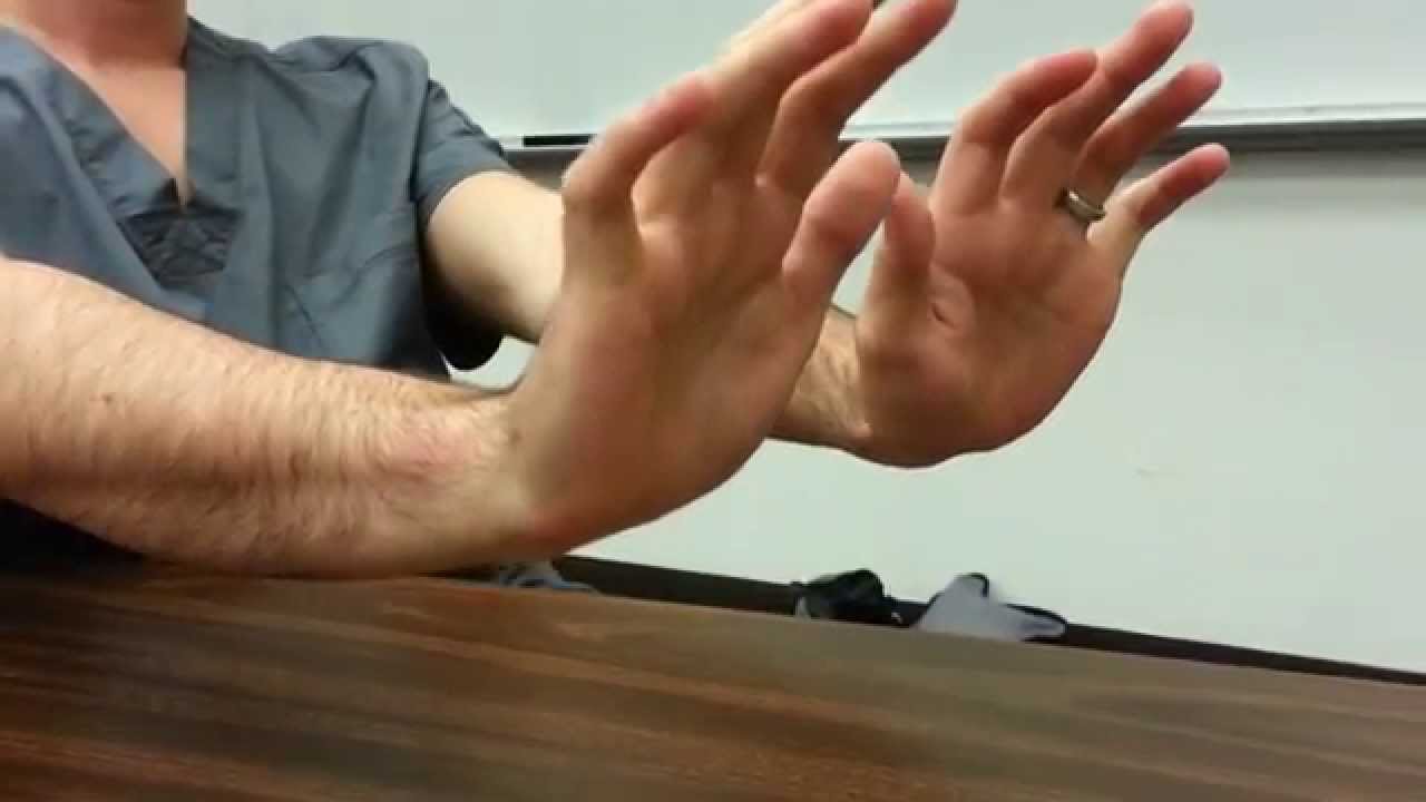 Position of patient's hands for testing axterixis (source)