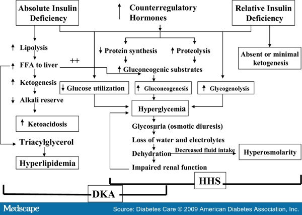 Pathophysiology of hyperglycemic hyperosmotic state/HHS (source) 