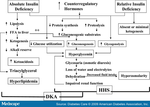 hyperglycemic coma a kezelés a cukorbetegség fogyás