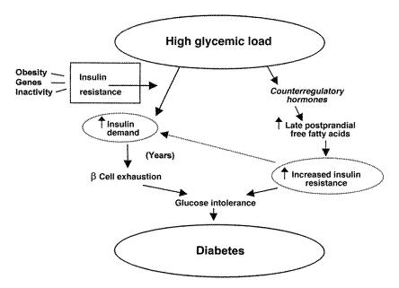 Pathophysiology of type 2 diabetes mellitus (source) 