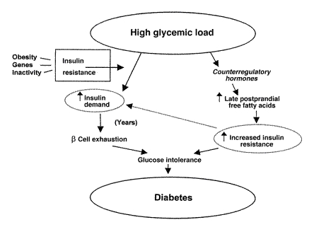Pathophysiology of type 2 diabetes mellitus (source)