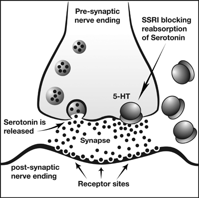 SSRI mechanism of action of action (source)
