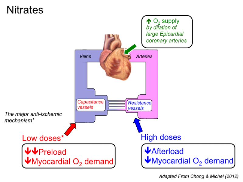 nitroglycerin mechanism of action