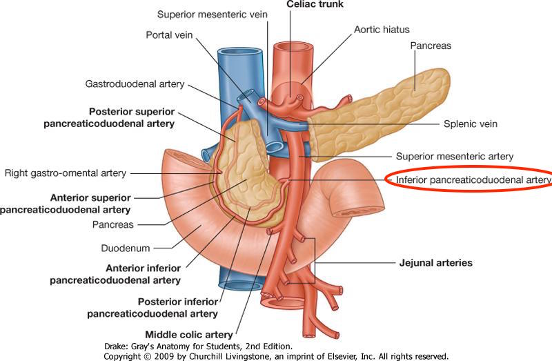 Anatomical location of the inferior artery (source)