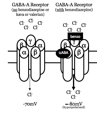 Mechanism of action of benzodiazapeines (source)