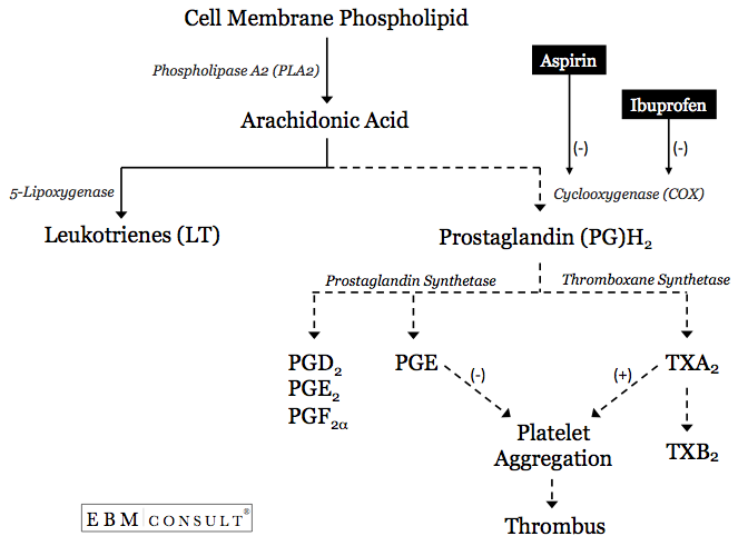 Mechanism of action of ibuprofen (source) 