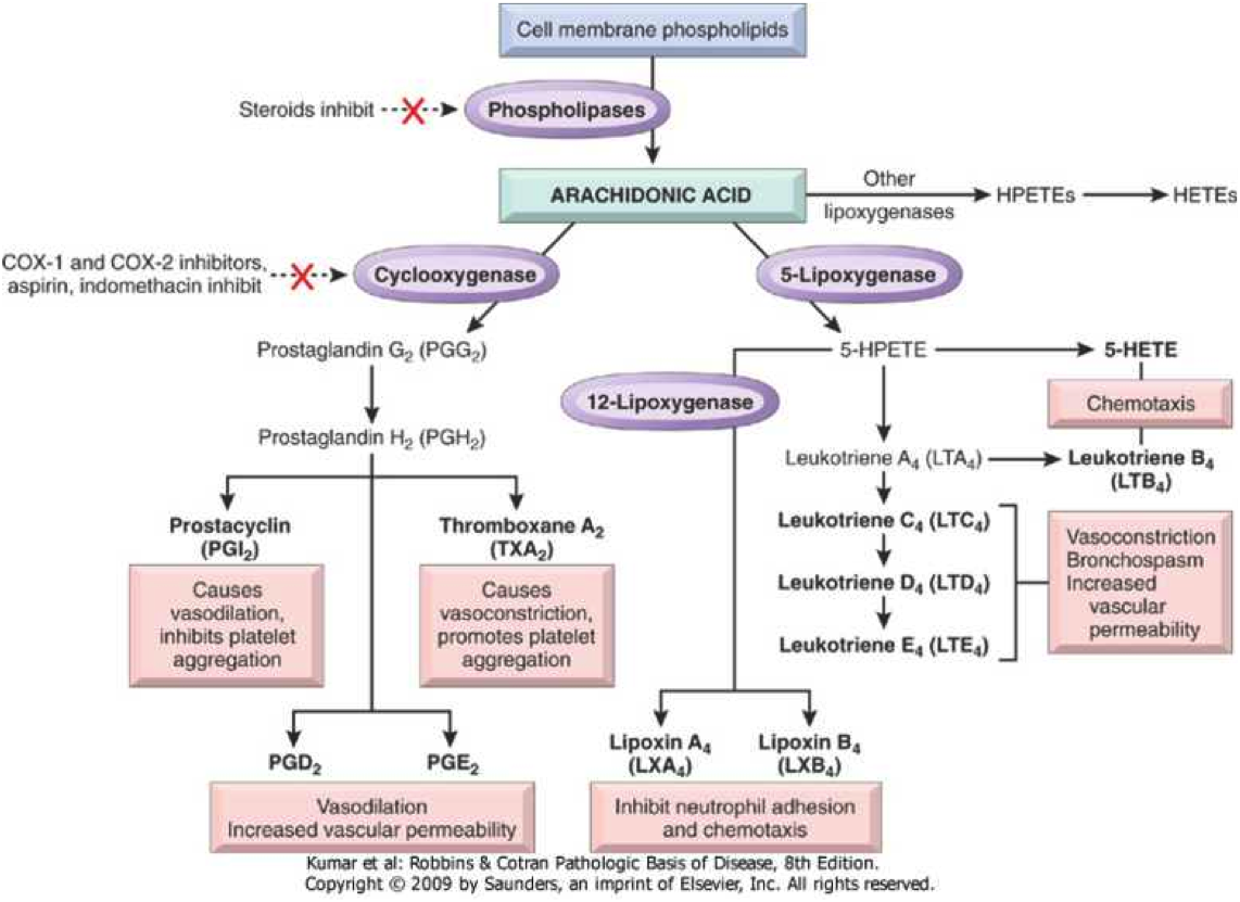 Aspirin mechanism of action (source) 