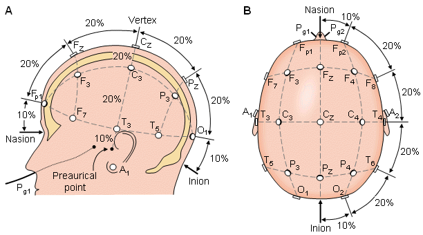 EEG electrode placement (source).