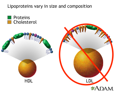 All non-HDL lipoproteins are "blocked" from the cholesterol quantification process when measuring HDL-cholesterol (source)