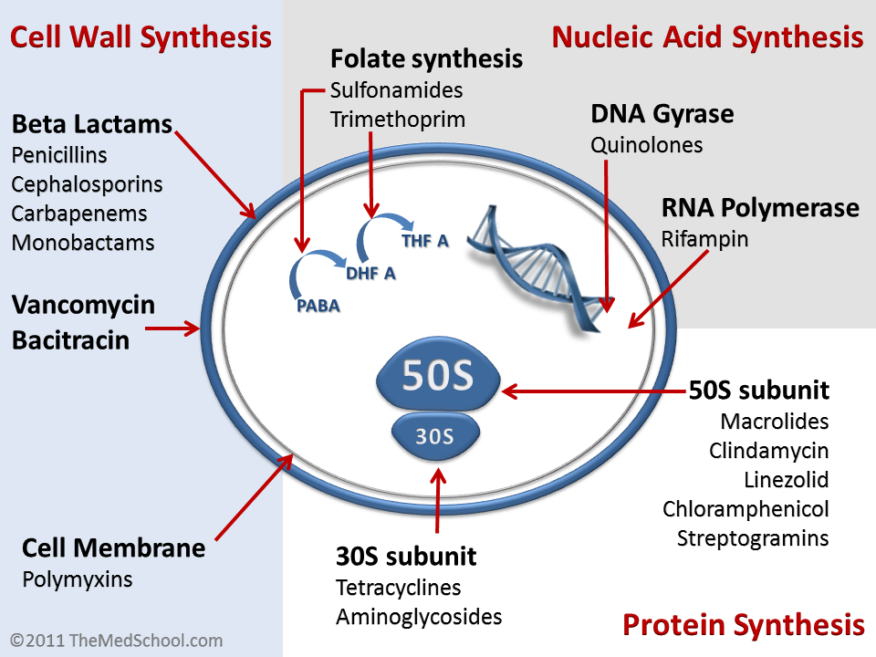 Understanding how the mechanism of action for the different antibiotics is important, but should it be our first step in learning this topic of medicine? (source)