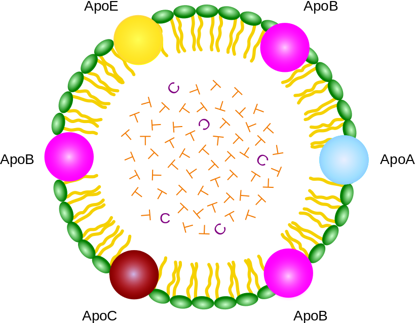 Lipoproteins are particles that are composed of a protein containing phospholipid membrane. They transport both cholesterol (C) and triglycerides (T) around the body (source)