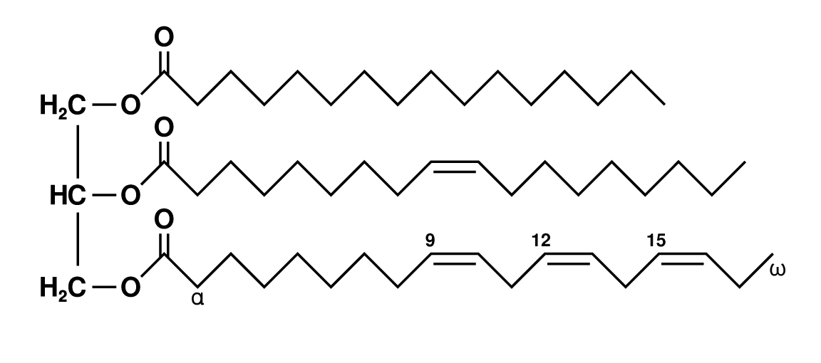 Looking at the structure of a triglyceride makes it quite clear that it is NOT the same as cholesterol (source)