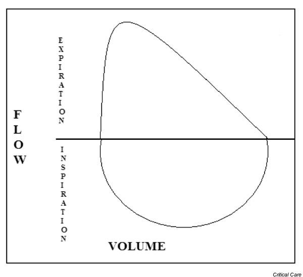 The traditional flow/volume loop has no axis dedicated to time. What is the implication of this? (source)