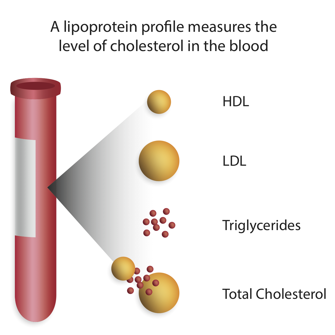 A few different values are reported in a traditional lipid panel. This page will help decipher what these actually mean (source)
