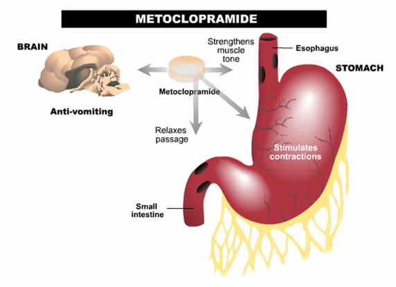 Metoclopramide is both an antiemetic and gastric motility agent (source) 