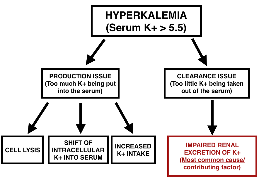 Overview of characterizing hyperkalemia. Let us make sure we remember that the impaired renal excretion of potassium is one of the most common causes of hyperkalemia. 