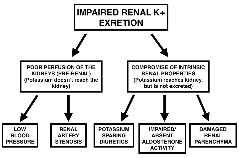 It is important to realize that there are multiple ways in which the kidney's ability to excrete potassium can become impaired (source)