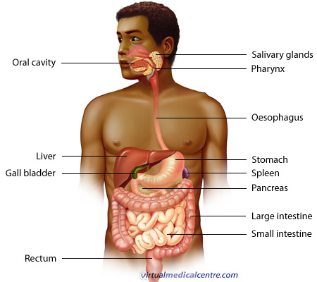 The gastrointestinal system is always very important to consider in patients presenting with abdominal pain (source)