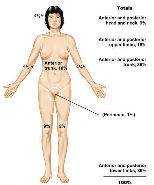 The dermatological system can also sometimes be involved when considering the cause of chest pain (source)