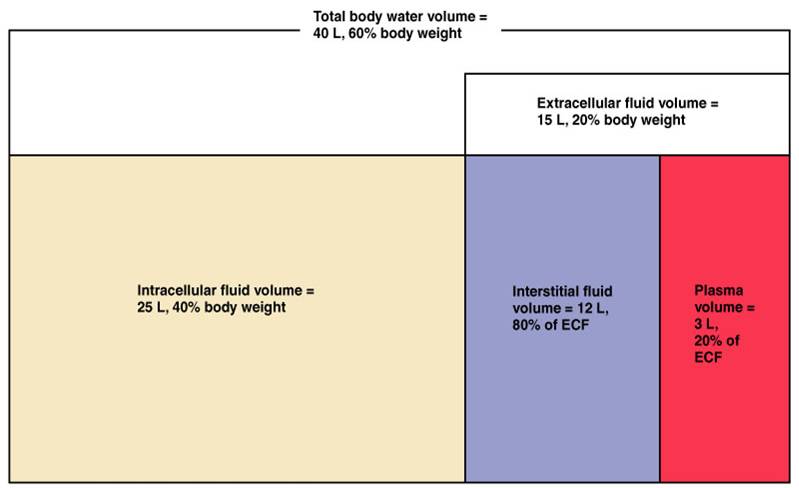 Guide To Intravenous Fluids Stepwards