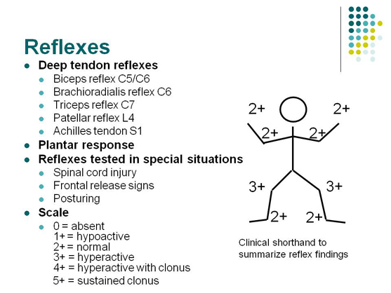 Neurological Exam Stepwards